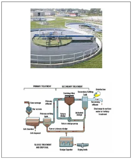 Fig. 1 Sewage primary settling tank and water treatment process. 