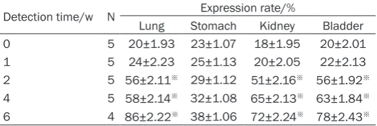 Table 2. P15, NF-κB, MDM2 and Bcl-2 gene expression and cor-relation analysis in bone tumor tissue