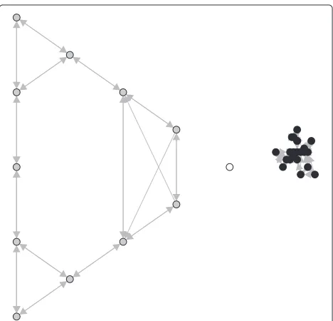 Figure 3 KAOG network obtained from the Triangle data set.