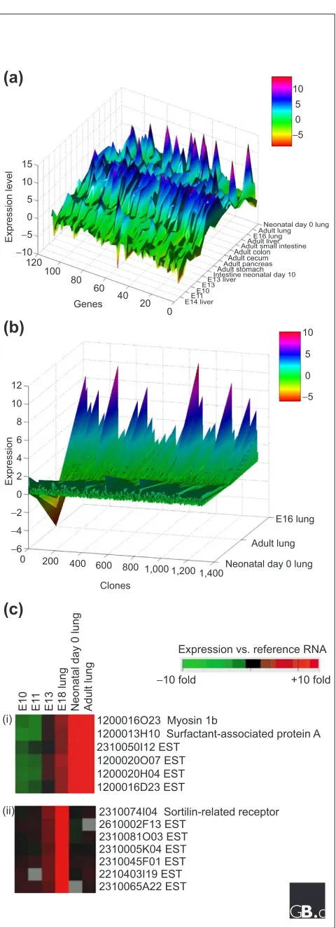 Figure 2An example of the use of the RIKEN gene expressiondatabase. (a) Topography plot of gut-endoderm-derivedtissues from the RIKEN mouse dataset