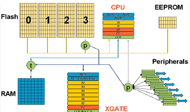 Figure 2. Data Bus Interfacing with XGATE, CPU12X, Memory, and Peripheral Modules
