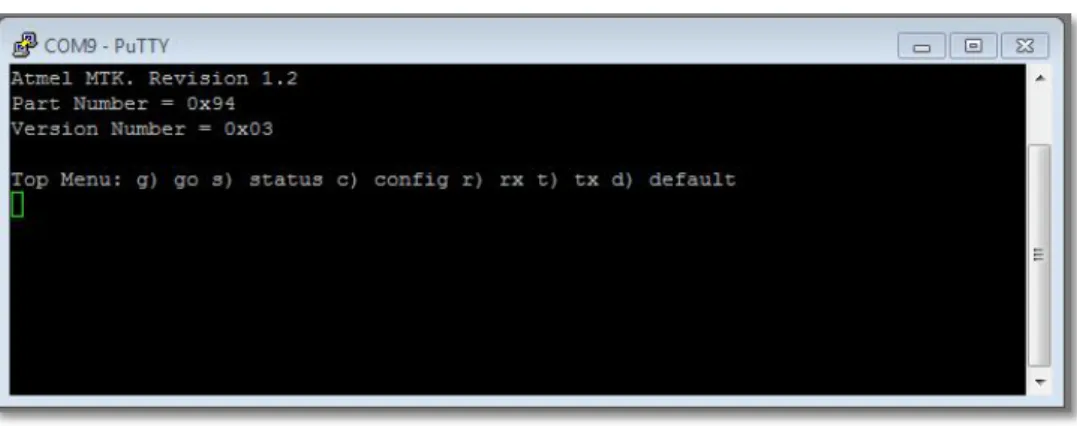Figure 3-1.  MTK Terminal Display 