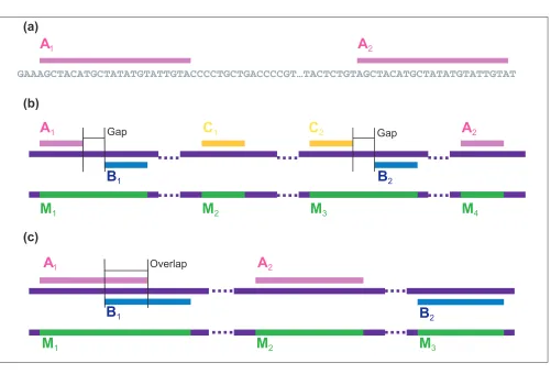 Figure 1Exact repeats. An example sequence of 180 bp and graphical depiction of exact repeats, using minimal repeat length 6 bp