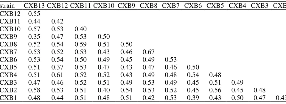 Table 7. Sample of the strain similarity matrix* 