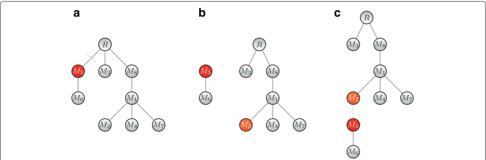 Fig. 8 Prune and reattach MCMC move.Then we sample one of the remaining nodes in the rooted tree; here a From our starting tree T, we first select a node uniformly, here M5, and detach it from the rest of the tree