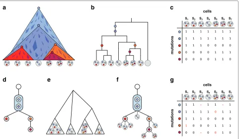 Fig. 1 Tumor evolution and cell phylogeny.present in the cell. For 1amplification. Themutation events