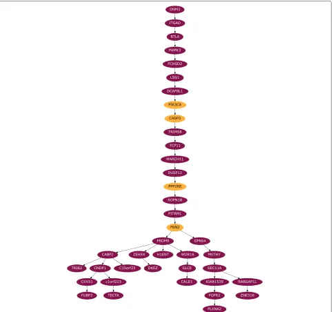 Fig. 3 MAP tree for the (ER+) breast cancer for the [36] data. See Additional file 1: Figure S9a for a version with samples attached