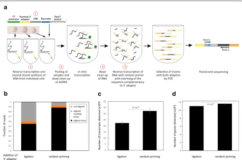 Fig. 1 Changes introduced to the protocol.100 pg clean RNA. a An outline of the CEL-Seq2 method is shown with the steps modified from the original CEL-Seqindicated in red