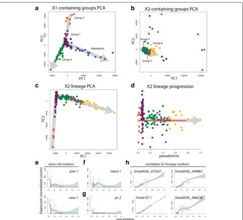 Fig. 7 Pseudotime analysis with Waterfall predicts a novel, non-neural X2 lineage.X2-containing groups.e a PCA plot for the X1-containing groups