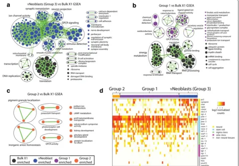 Fig. 2 Neural gene sets are enriched in some groups compared with bulk X1 data. a–c Gene set enrichment analysis (GSEA) results for Group 3(FDR < 0.01, p < 0.001) (a), Group 1 (FDR < 0.05, p < 0.001) (b), and Group 2 (FDR < 0.05, p < 0.001) (c)