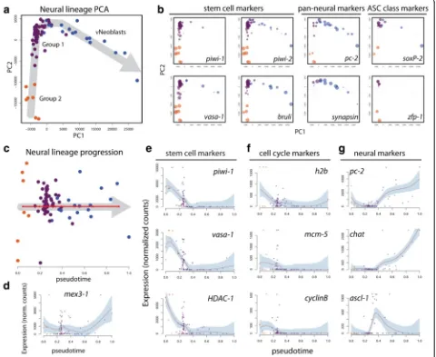 Fig. 3 Pseudotime analysis with Waterfall predicts a neural lineage trajectory. a PCA plot for Groups 1 and 2 and νNeoblasts