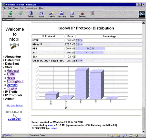 Figure 1: Global IP Protocol Distribution