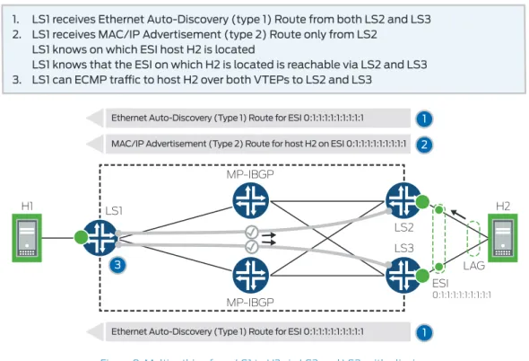 Figure 9: Multipathing from LS1 to H2 via LS2 and LS3, with aliasing