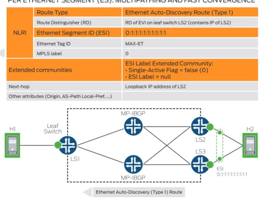 Figure 5: EVPN Type 1 advertisement, ESI