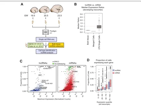 Fig. 3 Single-cell transcriptomics of lncRNA expression. a Schematic of single-cell microfluidic capture and integration of transcriptome referencegenerated from bulk tissue RNA-seq to conduct cell-type identification and lncRNA analysis