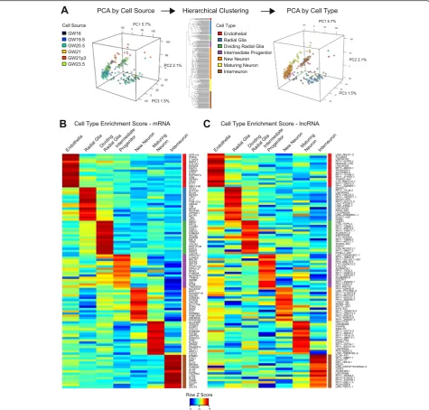 Fig. 4 Cell type-specific expression of lncRNAs.cluster. Axes labels indicate percent variation explained by each PC.greater than expected than from technical noise