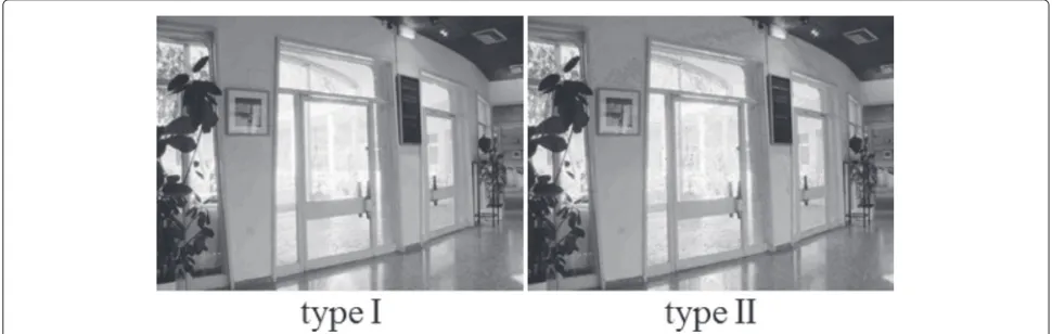 Figure 6 LDR images given by the proposed type I and type II methods. The LDR image from the type I method is degraded in type B format.