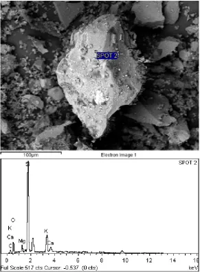 Figure(EDX). 7. POC powder structure at a smaller magnification with X‐ray spectroscopyspectroscopy  Figure   7. POC powder structure at a smaller magnification with X‐ray Figure 7