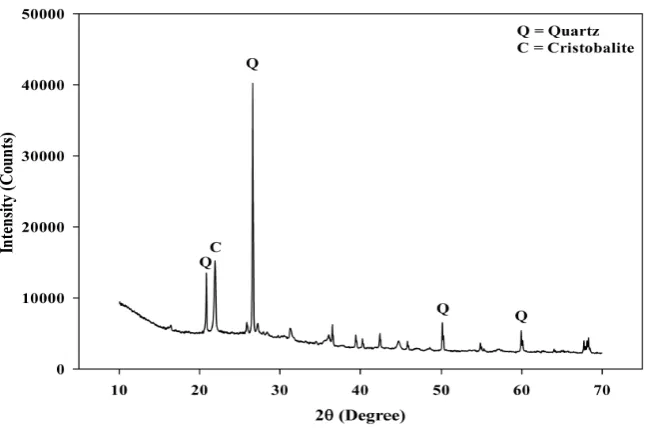 Figure 9. Figure 9.X‐ray X-ray diffraction (XRD) of POC powder. diffraction (XRD) of POC powder. 