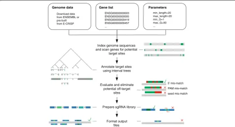 Fig. 1 CRISPR library designer workflow. CLD is a command line tool, tailored for fast end-to-end design of sgRNA libraries