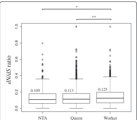 Fig. 3 Box plots showing the distribution of dN/dS ratios beforeaccounting for OGG connectivity and expression levels for OGGs innon-caste-associated modules (NTA), OGGs in queen-associated modules(Queen) and OGGs in worker-associated modules (Worker), and