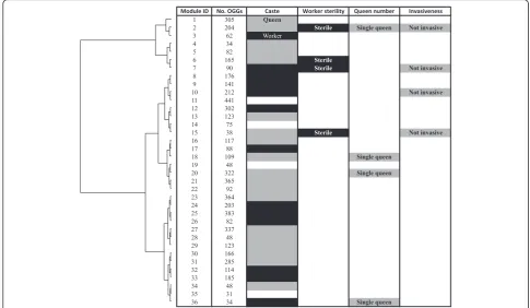 Fig. 2 Correlation between module eigengenes and the biological traits (caste, worker sterility, colony queen number and invasiveness)