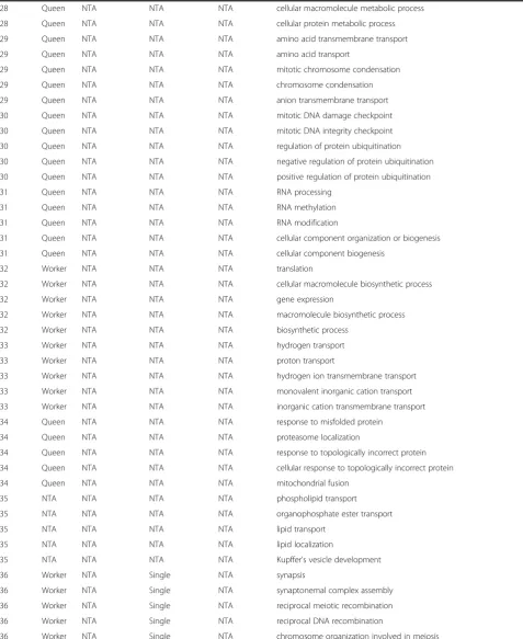 Table 1 GO terms found enriched in each module (Continued)