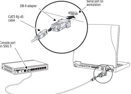 Figure 9:  Establishing a Console Connection