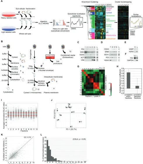 Fig. 1Proteomics-based profiling of colocalisation (COLA) to reveal functional associations