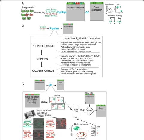 Fig. 1 Overview of pipeline and quality control. a Schematic of RNA sequencing workflow