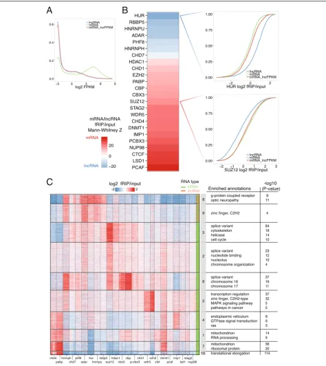 Fig. 3 Chromatin-associated proteins bind functionally coherent sets of mRNA. RBPs differed on the degree to which they preferred to bindmRNAs versus lncRNAs