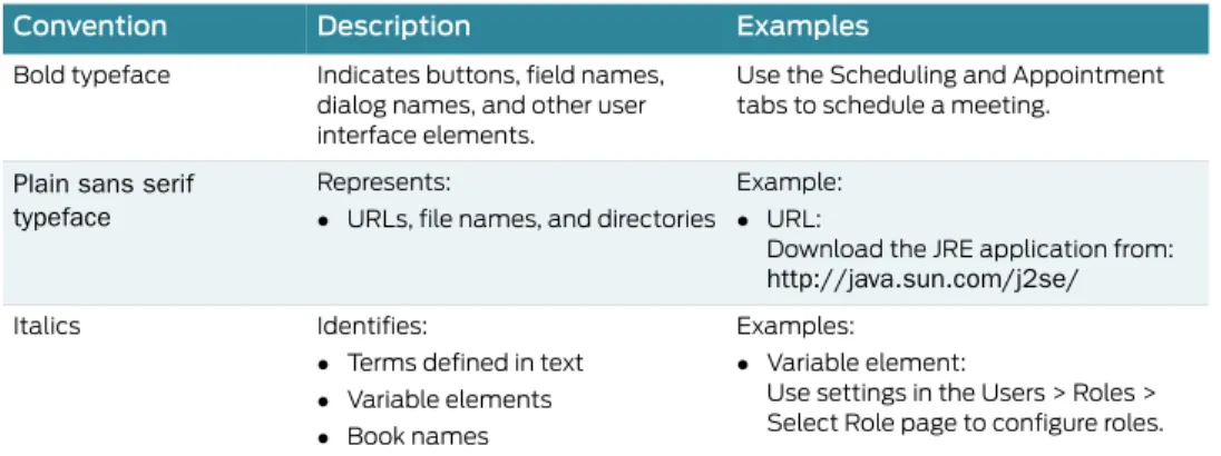 Table 1 describes the text conventions used throughout this manual.