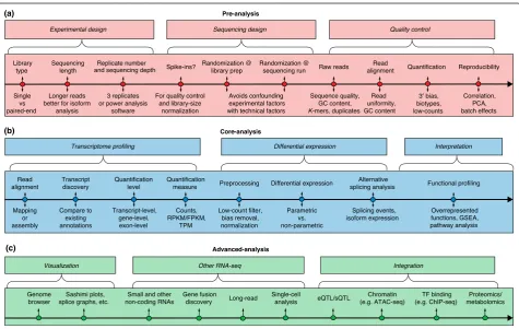 Fig. 1 A generic roadmap for RNA-seq computational analyses. The major analysis steps are listed above the lines for pre-analysis, core analysisSplicing quantitative trait loci,and functional profiling.experimental design, sequencing design, and quality co