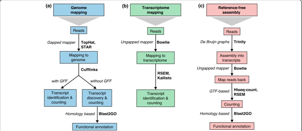 Fig. 2 Read mapping and transcript identification strategies. Three basic strategies for regular RNA-seq analysis.RSEM a An annotated genome isavailable and reads are mapped to the genome with a gapped mapper