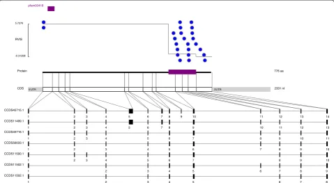 Fig. 1 Distribution of reported pathogenic variants in ATP1A3. This figure shows the distribution of reported variants in ATP1A3