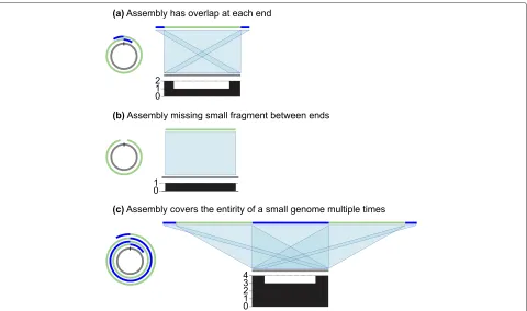Fig. 1 Typical issues in contigs produced by long-read assemblers representing circular sequences