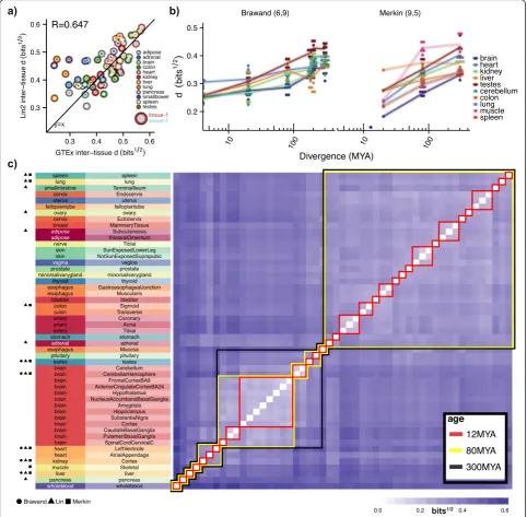 Fig. 4 Clustering by species or tissue is predictably dependent on the subset of tissues selected and the divergence times of the species analyzed