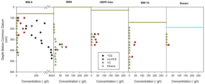 Figure 1.8.  Concentration with Depth Based on HRPP Samples Across Groundwater  Transect 