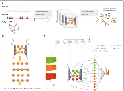 Fig. 1 3CPET workflow. a 3CPET overflow: three types of data are provided, including DNA–DNA interactions (ChIA-PET), DNA–protein interactions(ChIP-seq), and PPIs