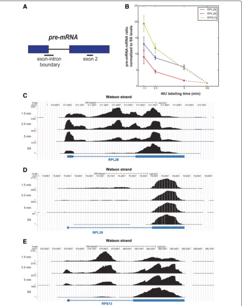 Fig. 6 (See legend on next page.)