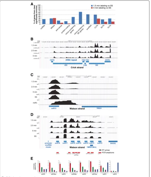 Fig. 2 (See legend on next page.)