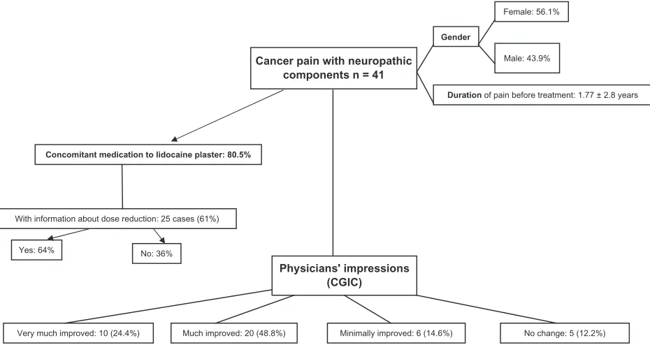 Figure 1 Forty-one case reports of patients with cancer pain with neuropathic components were reviewed.Abbreviation: CGIC, Clinical Global Impression of Change.