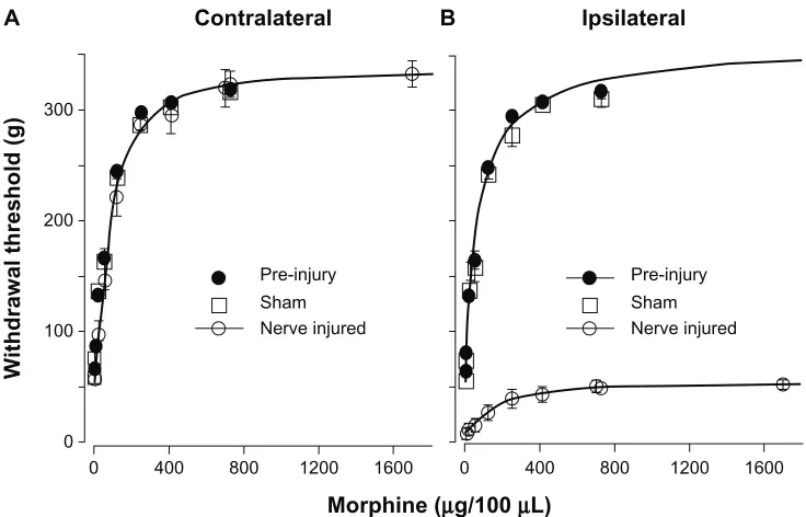 Figure 5 Dose-response of IT morphine on hindlimb withdrawal threshold. The hindlimb withdrawal threshold was determined 30 minutes after each IT dose of morphine