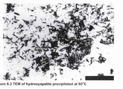 Figure 8.3 TEM of hydroxyapatite precipitated at 80°C