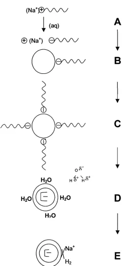 Figure 4.11 Mechanism of the anionic deflocculant, Dispex N40.