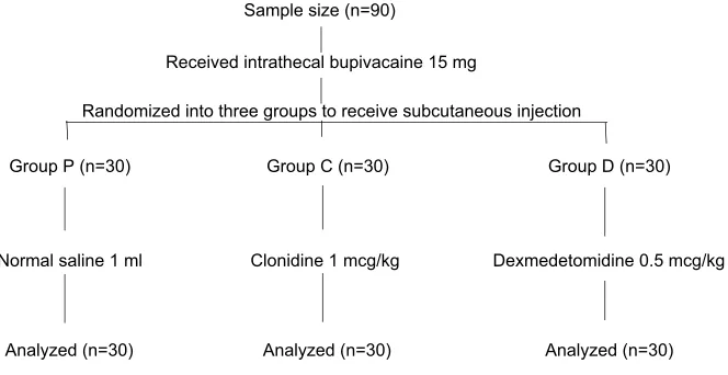 Figure 1 Flow chart of the study.