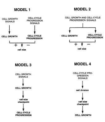 Figure 1.1MODEL 1MODEL 2