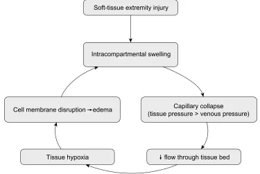 Figure 3 “vicious cycle” of events leading to increased tissue compartment pressure during acute compartment syndrome.