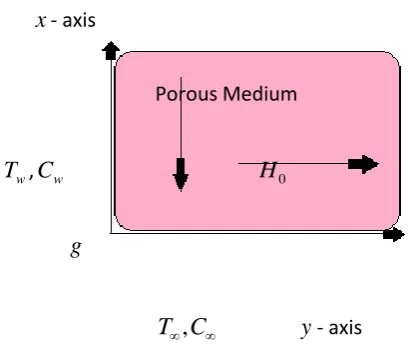 Fig. (1): Sketch of the problem 