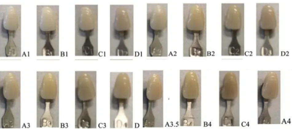 Figure 2 Sixteen types of dental images from the shade guide reference. The VITAPAN classical A1–D4 shade guide (Internationally established dental shade guidecommercial product)
